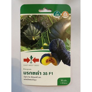 มรกตดำ 35 ศรแดง เมล็ดพันธ์ุฟักทองลูกผสม ชื่อพันธ์ุ มรกตดำ 35 F1 เมล็ดพันธ์ุคุณภาพตราศรแดง บรรจุซองกระดาษอย่างดี