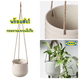 🔥พร้อมส่ง!🔥 IKEA KAPKRUSBÄR กระถางแขวนอิเกีย รับประกันส่งของไว!