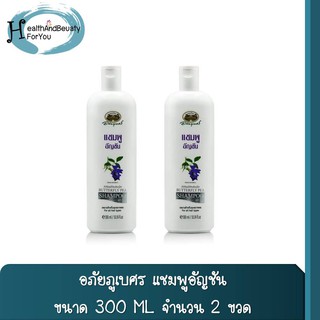 ซื้อ 2 ขวด แชมพูอัญชัน อภัยภูเบศร ขนาด 300 มิลลิลิตร