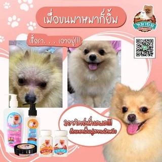 เซตฟื้นฟูสภาพผิวหนังระเบิดขนฟู