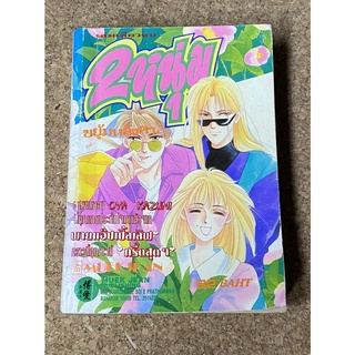 หนังสือการ์ตูน 2 หนุ่ม ขยุ้มหลังคา (เล่มเดียวจบ) ผลงานของ Oya Kazami