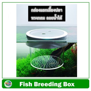 กล่องแยกปลา ทรงกลม ลอยน้ำได้ Floating Breeding Box