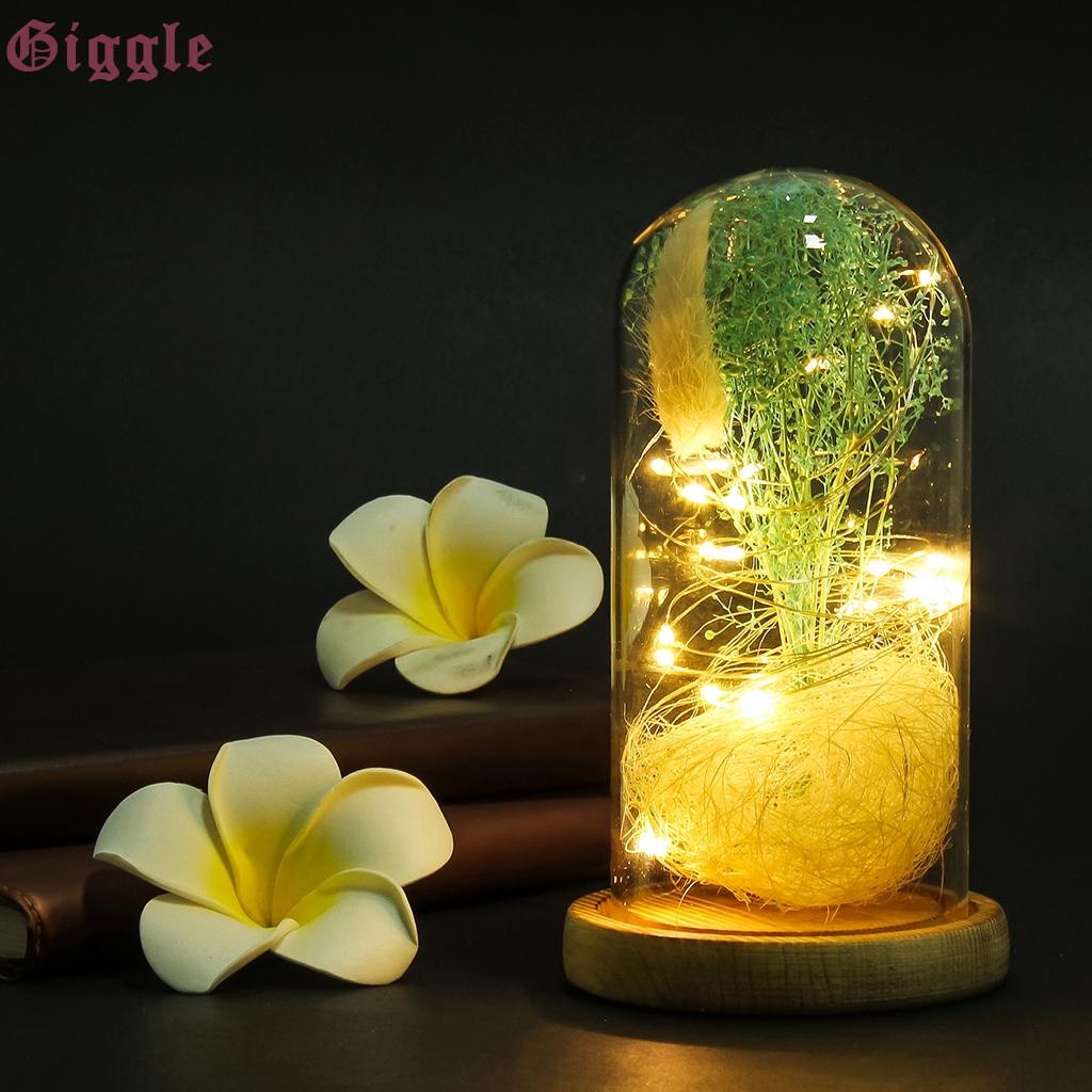 Decorative Clear Glass Cloche Bell Jar Display Flower Vase Micro Landscape D