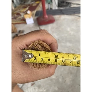 เสาใยมะพร้าว เสาไม้เลื้อย หลักไม้เลื้อย ขนาด 30-120 Cm. สวย แข็งแรง ทนทาน รากเกาะได้ดี ช่วยพยุงต้นไม้