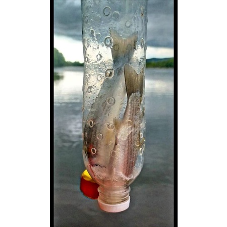 กระป๋องตกปลากระบอกพร้อมแป้ง