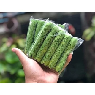ขั้วชบาผ้าติดสำเร็จพร้อมใช้100ชิ้น