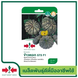 ศรแดง เมล็ดพันธุ์ฟักทอง ข้าวตอก 573 F1 (East-West Seed) เมล็ดพันธุ์ผัก เมล็ดพันธุ์ ผักสวนครัว ตราศรแดง