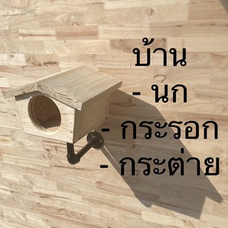 บ้านนก บ้านกระรอก บ้านกระต่าย 😊