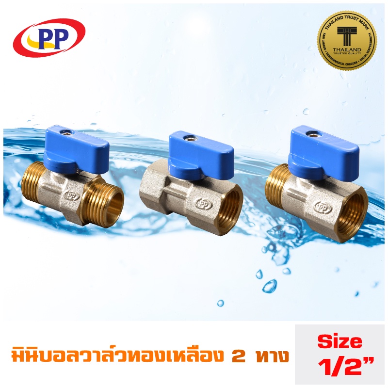 มินิบอลวาล์วทองเหลือง PP 2ทาง ขนาด 1/2" (4 หุน)  M.M. ,  F.F.  , F.M.