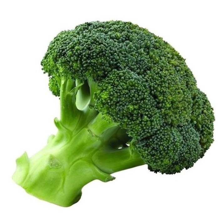 เมล็ดพันธุ์ บล็อคโคลี่ 200 เมล็ด Broccoli เมล็ดพันธุ์แท้ ปลูกผัก สวนครัว ถูกดี ปลูกง่ายโตไว