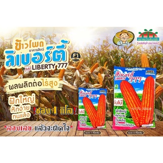 เมล็ดพันธุ์ ข้าวโพดอาหารสัตว์ ลิเบอร์ตี้ 777 จัมโบ้ (1 กิโลกรัม) ลิเบอร์ตี้ จัมโบ้ ลิเบอร์ตี้จัมโบ้ ลิเบอร์ตี้ 777จัมโบ้