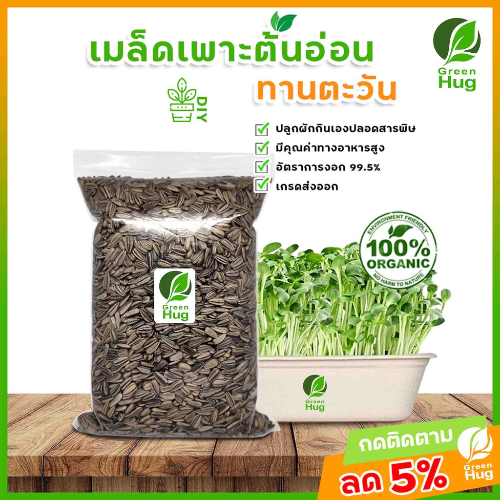 เมล็ดทานตะวัน Organic (Sunflower Seeds - Organic 300 g./500 g./1000 g.) GREENHUG เมล็ดต้นอ่อน
