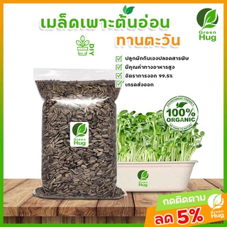 เมล็ดทานตะวัน Organic (Sunflower Seeds - Organic 300 g./500 g./1000 g.) GREENHUG เมล็ดต้นอ่อน