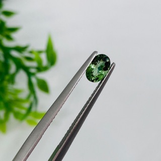 กรีนทัวร์มาลีน (Green Tourmaline) พลอยคัดเกรด VS 6x4 มม. สีเข้มสวย พลอยแท้ มีใบรับประกัน