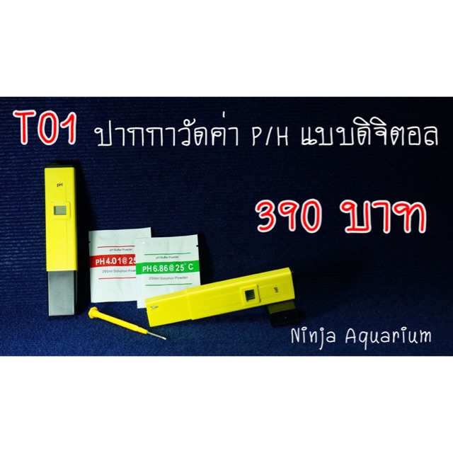 ปากกาวัดค่า P/H แบบดิติตอล