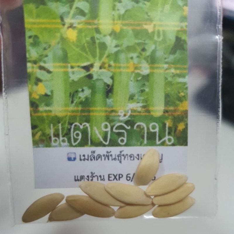 แตงร้าน🎯ถูกที่สุด10บ.📌เมล็ดพันธุ์แตงร้าน 10 เมล็ด🌱งอกง่าย ☘️ลูกดก🌱ทานอร่อย - รูปที่ 2