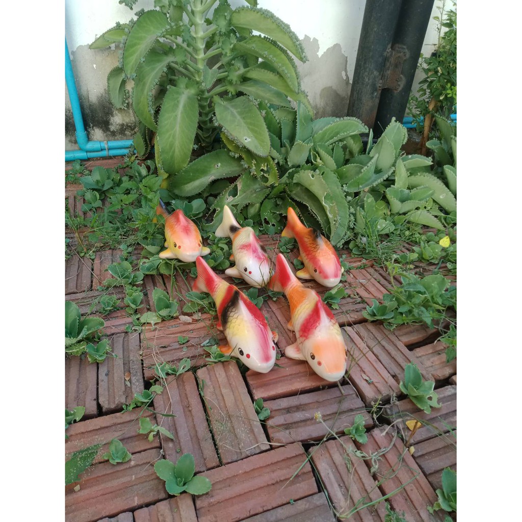ปลาคราฟเซรามิคตกแต่งสวย  ราคาพิเศษจากปกติ 99 บาท  ลด 40% เหลือเพียง 60บาท ( มีจำนวนจำกัด)