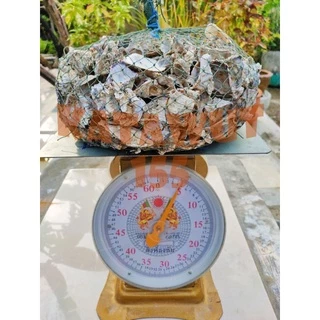 เปลือกหอยนางรม 4.8กิโล เปลือกหอยกรองน้ำ สะอาดปราศจากสารพิษ พร้อมอวนใหม่เหนียวใช้ได้ยาวนาน✓✓✓®