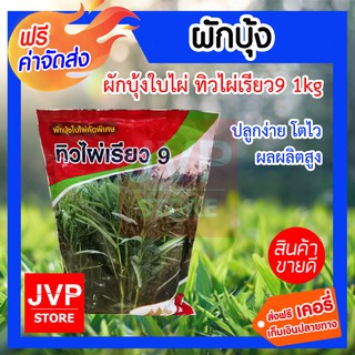 **ส่งฟรี**เมล็ดผักบุ้งใบไผ่ทิวไผ่เรียว9 1 k.g. ตราภูเขาทอง ปลูกง่าย อัตราการงอกสูง ทนทานต่อโรค