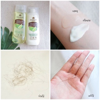 แชมพูลดผมร่วง KHAOKHO TALAYPU LEECH LIME &amp; CENTELLA HERBAL SHAMPOO , HERBAL CONDITIONER 185ML.