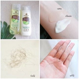 แชมพูลดผมร่วง KHAOKHO TALAYPU LEECH LIME &amp; CENTELLA HERBAL SHAMPOO , HERBAL CONDITIONER 185ML.