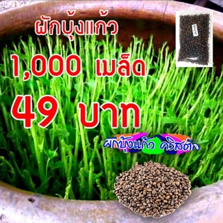 ผักบุ้งแก้ว ผักบุ้งเย็นตาโฟ (10 ซอง แถม 1 ซอง )