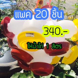 ให้น้ำไก่1 ลิตร. พร้อมส่ง🐥🐤🐣แพคละ20 ชิ้น 🚚🚚