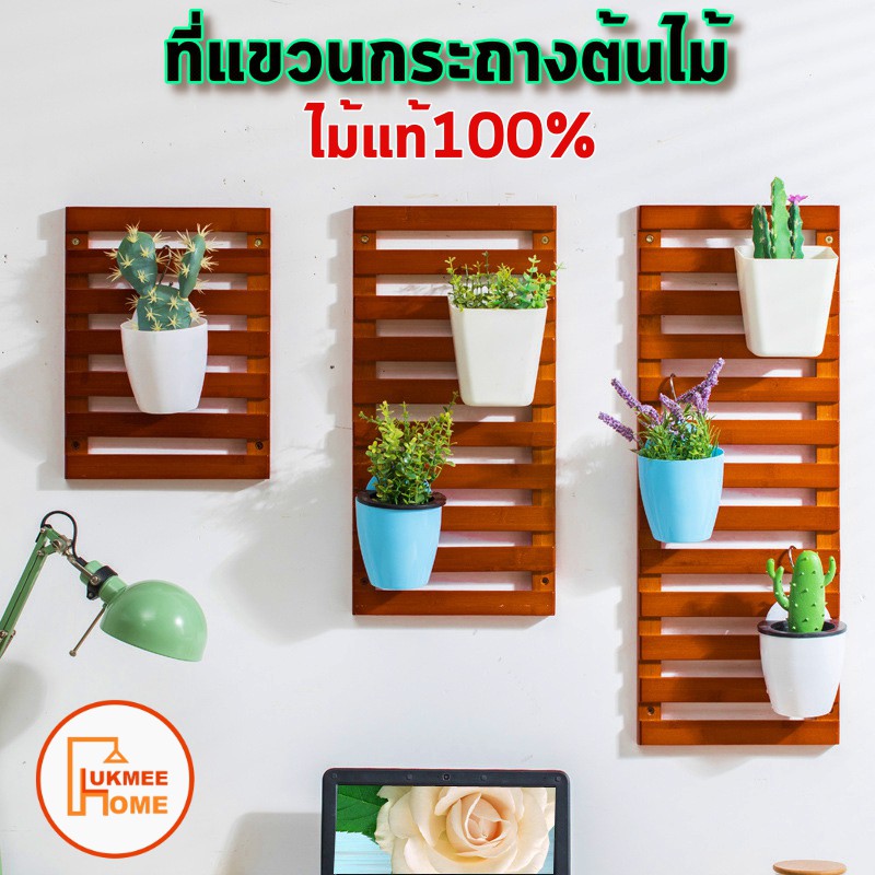อันดับหนึ่ง 104+ ภาพพื้นหลัง กระถางต้นไม้ติดกําแพง ความละเอียด 2k, 4k