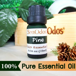 SenOdos น้ำมันหอมระเหยแท้ กลิ่นไพน (สน) น้ำมันหอมอโรม่า Aroma Pine Pure Essential Oil