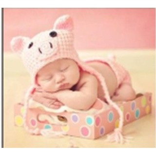 พร้อมส่ง !! ชุดแฟนซีเด็ก ชุดหมูชมพู 155 (Pink Pig) Baby Fancy By Tritonshop