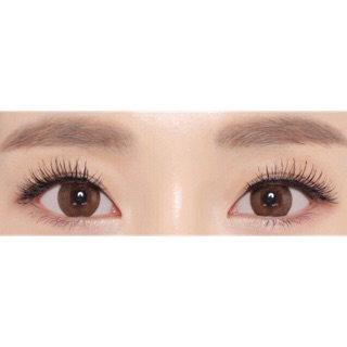 🔥 คอนแทคเลนส์ ✨ขนาดมินิ✨Brown✨ Extra Dali (Beautylens)