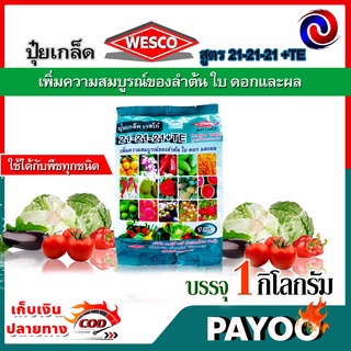 WESCO ปุ๋ย 21-21-21 +TE (ธาตุรองเสริม) ปุ๋ยเกล็ด เวสโก้ เพิ่มความสมบูรณ์ของลำต้น ใบ ดอกและผล บรรจุ 1 กิโลกรัม