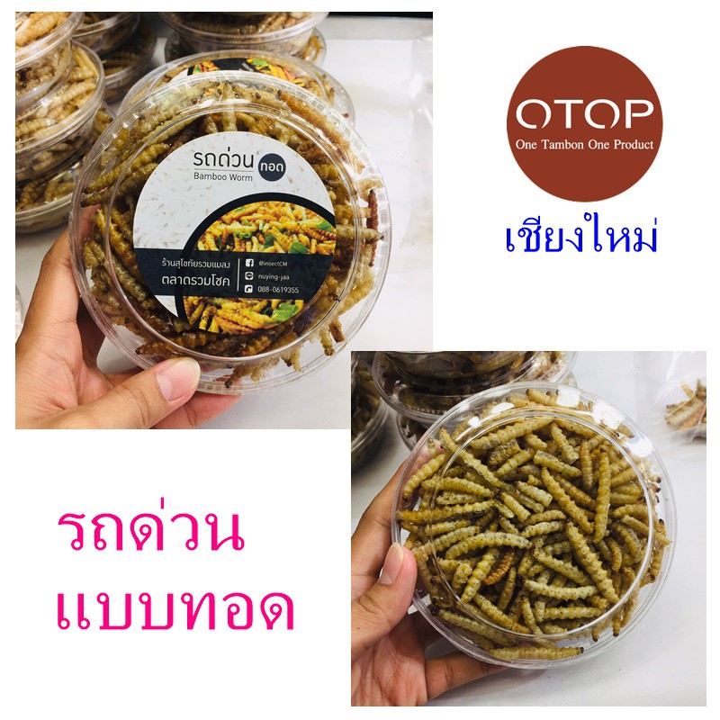 รถด่วน รถด่วนทอด Bamboo worm ของฝากเชียงใหม่ OTOP ตลาดรวมโชค หนอนไม้ไผ่ หนอนรถด่วน 1 กระปุก