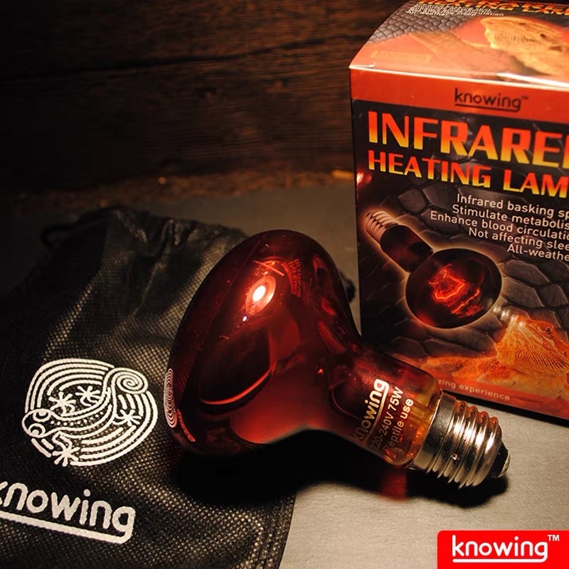 [ประกัน 3เดือน]KNOWING Infrared หลอดอินฟาเรด หลอดไฟให้ความร้อน สำหรับเต่าบก ซูคาต้า เต่าบกทะเลทราย ก