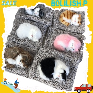 Bolilishp ตุ๊กตาแมวนอนหลับ ถ่านไม้ไผ่ สําหรับตกแต่งแดชบอร์ดรถยนต์