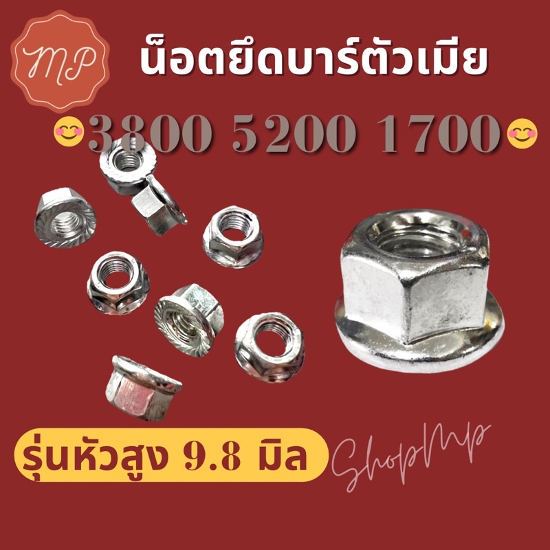 น็อตยึดบาร์เลื่อย 1700 3800 5200 รุ่นหัวสูงสีเงิน เบอร์13 (ตัวเมีย1ชิ้น) – โปรปัง