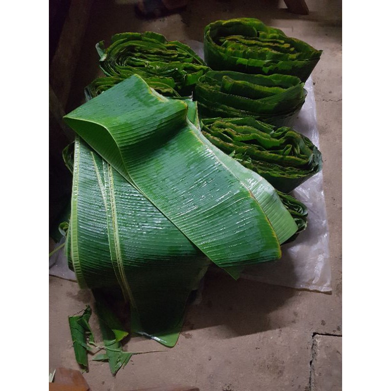 รายการ 102+ ภาพพื้นหลัง ใบตองจากกล้วยชนิดใดที่นิยมนำมาห่ออาหาร ใหม่ที่สุด