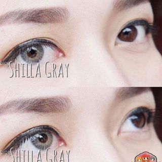 Shilla Gray ,  ชิลล่า สีเทา ขนาดเท่าตา by  Lollipop