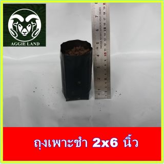 ถุงเพาะชำ 2x6 นิ้ว จำนวนประมาณ 200 ใบ น้ำหนัก ครึ่งกิโล ; ถุงเพาะกล้า ถุงปลูกผัก อนุบาลไม้ เจาะรู plastic bag for plant