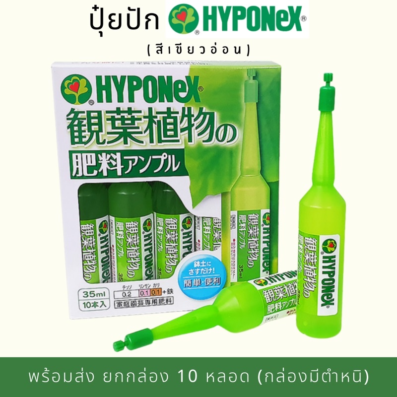 COD (พร้อมส่ง) ปุ๋ยปัก HYPONEX ampoule สี เขียวอ่อน ยกกล่อง 10 หลอด กล่องบุบ สูตรบำรุงใบ ปุ๋ยหลอด แอมเพิล ไม้ด่าง