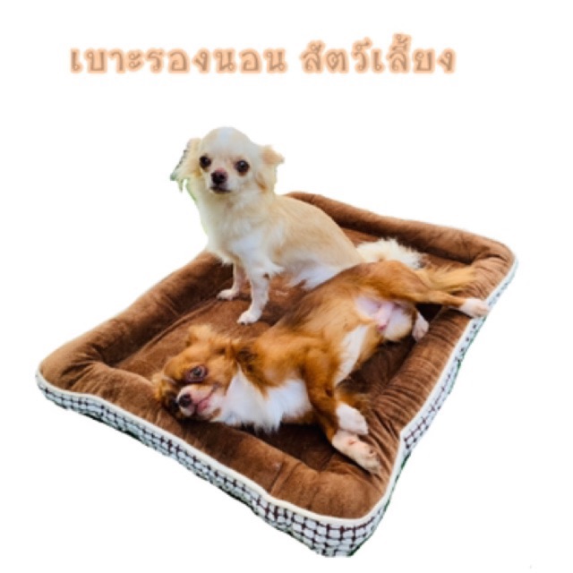 Pet Furniture 332 บาท เบาะรองนอน สัตว์เลี้ยง หนานุ่ม มีพื้นกันลื่น Pets