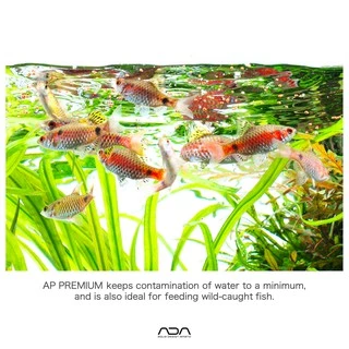 ADA Fish Food AP Premium อาหารปลาเกรดสูงสุดของ ADA สำหรับใช้กับตู้พรรณไม้น้ำโดยเฉพาะ