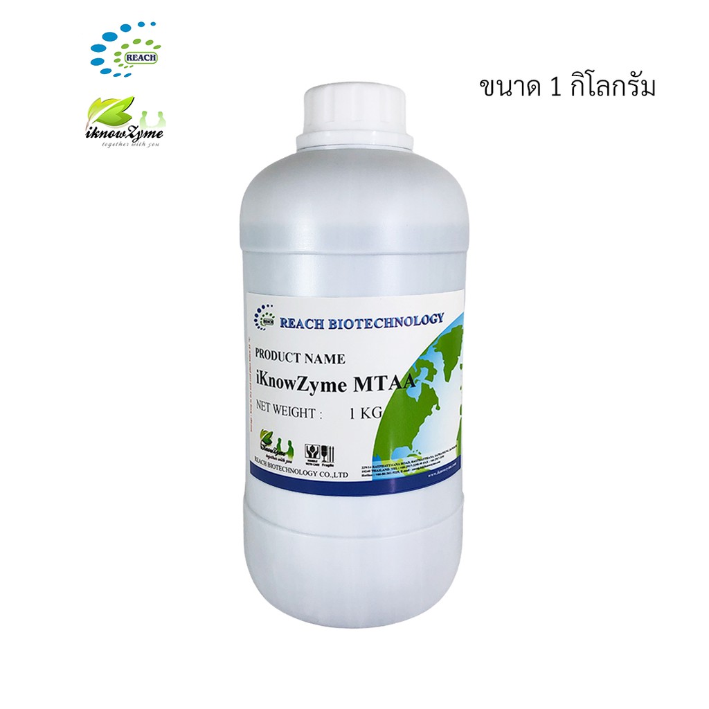 iKnowZyme MTAA เอนไซม์แอลฟา-อะไมเลส ขนาด 1 กิโลกรัม