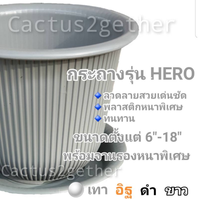 ถูกและหนา‼️กระถางรุ่นHero พลาสติกหนาพิเศษ มีจานรอง ขนาด12