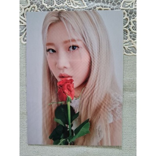 [แท้/พร้อมส่ง] โฟโต้การ์ด​ คิมลิป Kim Lip White ver LOONA Summer Package 4th Mini Album &amp; AND Kihno KiT ver. Photocard