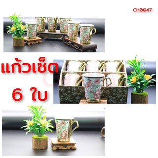 แก้วกาแฟ  แก้วชงชา เซ็ท 6 ใบ CH0047 📌โปรดอ่านรายละเอียดก่อนสั่งซื้อค่ะ