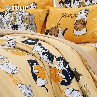 TULIP Delight ทูนหัวของบ่าว DLC079 ลิขสิทธิ์แท้ทูนหัวของบ่าว ชุดผ้าปูที่นอน ผ้าห่ม ผ้านวม ลายแมว