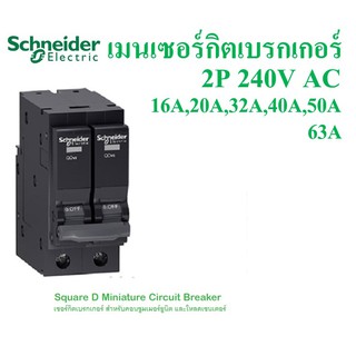 Schneider เมนเซอร์กิตเบรกเกอร์ 2P 240V AC