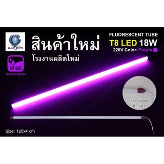 หลอดนีออนสี ขั้วกันน้ำ รุ่นใหม่ LED T8 18W สีม่วง