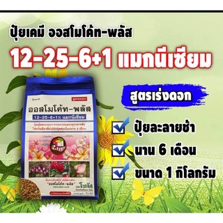 ออสโมโค้ท-พลัส 12-25-6+1% แมกนีเซียม 🌺( 1 Kg ) ปุ๋ยสูตรเร่งดอกปุ๋ยเม็ดละลายช้านาน6เดือนบอนสี ไม้กระถาง ไม้มงคล กล้วยไม้